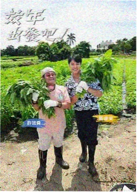 综艺《极限三十天》封面